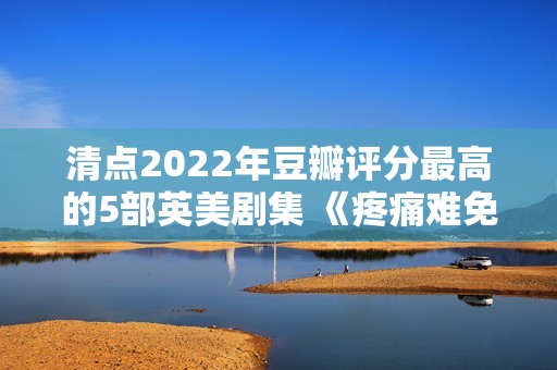 清点2022年豆瓣评分最高的5部英美剧集 《疼痛难免》评分最高