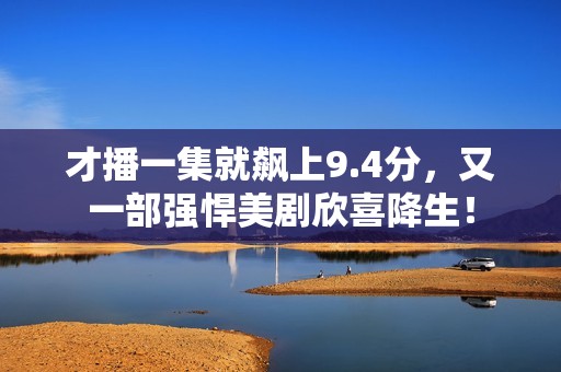 才播一集就飙上9.4分，又一部强悍美剧欣喜降生！