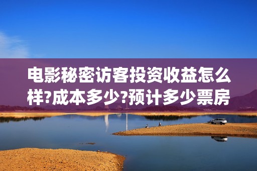 电影秘密访客投资收益怎么样?成本多少?预计多少票房?(秘密访客电影投资效果价目表)