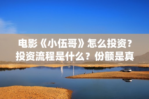电影《小伍哥》怎么投资?投资流程是什么?份额是真实的吗?(电影小伍哥上映时间) 电影《小伍哥》怎么投资?投资流程是什么?份额是真实的吗?(电影小伍哥上映时间)