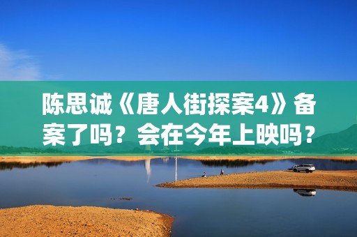 陈思诚《唐人街探案4》备案了吗？会在今年上映吗？投资可以参与吗？(唐人街导演陈思诚老婆)