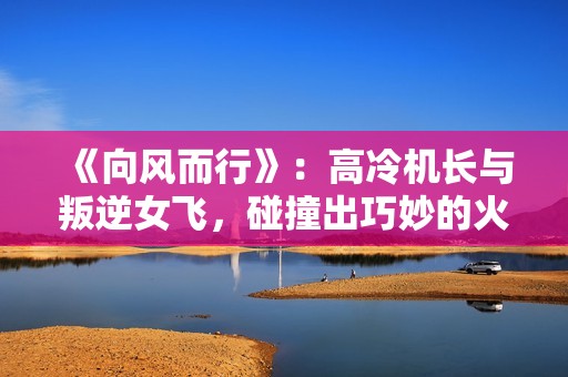 《向风而行》：高冷机长与叛逆女飞，碰撞出巧妙的火花