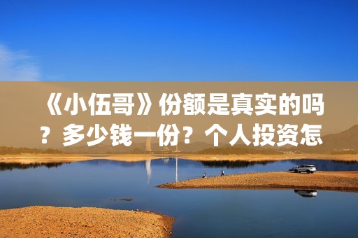 《小伍哥》份额是真实的吗？多少钱一份？个人投资怎么参与？(小伍哥个人资料)