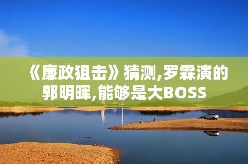 《廉政狙击》猜测,罗霖演的郭明晖,能够是大BOSS