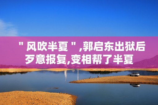 ＂风吹半夏＂,郭启东出狱后歹意报复,变相帮了半夏