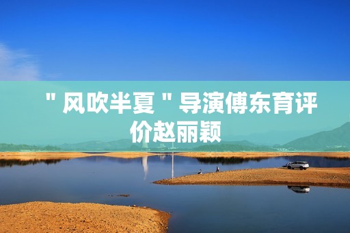 ＂风吹半夏＂导演傅东育评价赵丽颖