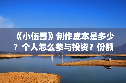 《小伍哥》制作成本是多少？个人怎么参与投资？份额是真实的吗？(《小伍哥》制作方法)