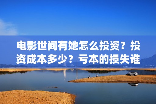 电影世间有她怎么投资？投资成本多少？亏本的损失谁承担？(电影 世间有她)
