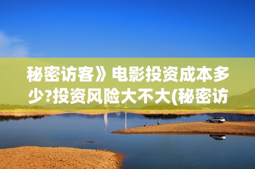 秘密访客》电影投资成本多少?投资风险大不大(秘密访客》电影在线观看)