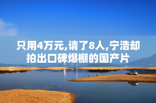 只用4万元,请了8人,宁浩却拍出口碑爆棚的国产片