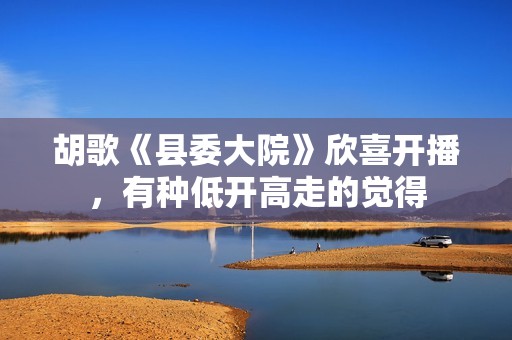 胡歌《县委大院》欣喜开播，有种低开高走的觉得