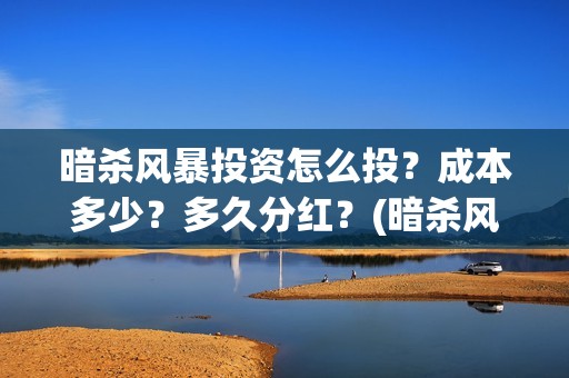 暗杀风暴投资怎么投？成本多少？多久分红？(暗杀风暴演员)