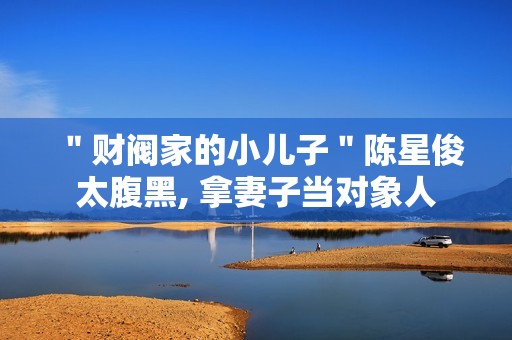 ＂财阀家的小儿子＂陈星俊太腹黑, 拿妻子当对象人