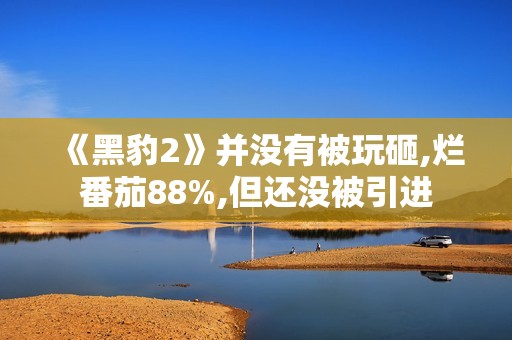 《黑豹2》并没有被玩砸,烂番茄88%,但还没被引进