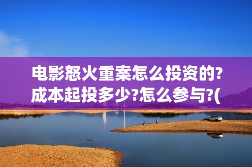 电影怒火重案怎么投资的?成本起投多少?怎么参与?(怒火重案影片简介)