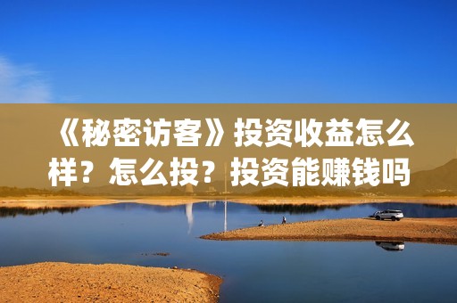 《秘密访客》投资收益怎么样？怎么投？投资能赚钱吗？(《秘密访客》投资多少钱)