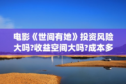 电影《世间有她》投资风险大吗?收益空间大吗?成本多少?(世间有她电影预告片)