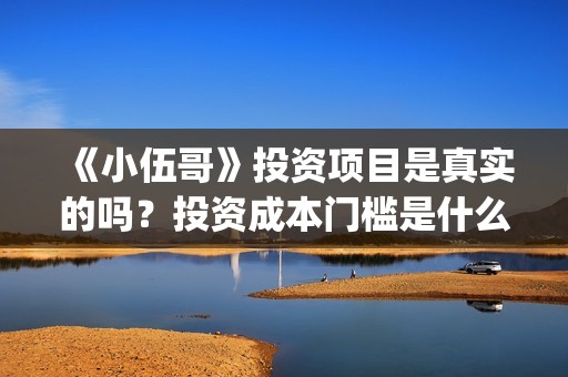 《小伍哥》投资项目是真实的吗？投资成本门槛是什么？风险大吗？(小伍哥能投)