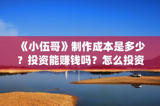 《小伍哥》制作成本是多少？投资能赚钱吗？怎么投资(电影小伍哥是哪家公司制片的)