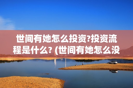 世间有她怎么投资?投资流程是什么? (世间有她怎么没了)