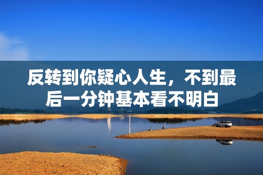 反转到你疑心人生，不到最后一分钟基本看不明白