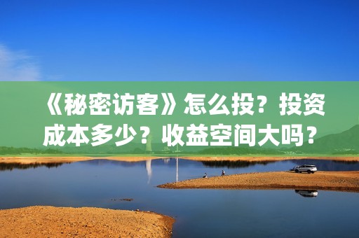 《秘密访客》怎么投？投资成本多少？收益空间大吗？(秘密访客在讲啥)