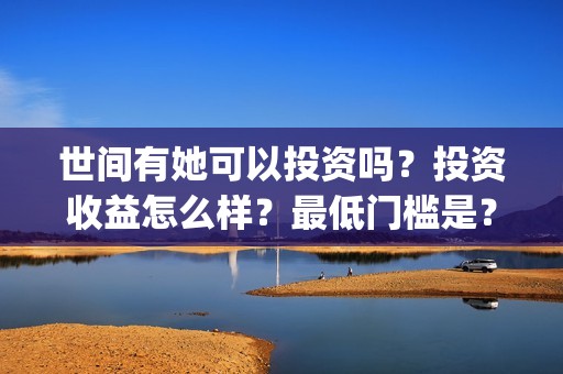 世间有她可以投资吗？投资收益怎么样？最低门槛是？(世间有她投资)