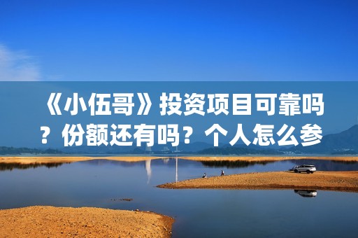 《小伍哥》投资项目可靠吗？份额还有吗？个人怎么参与投资(电影小伍哥投资)
