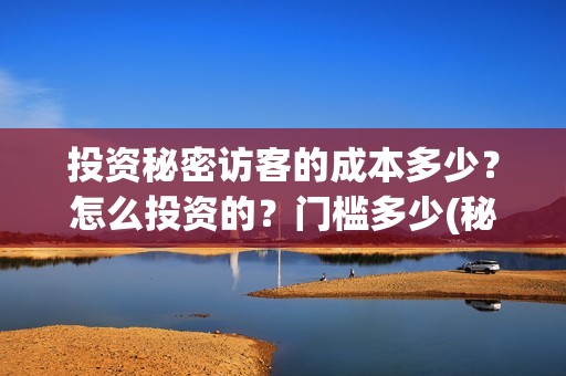 投资秘密访客的成本多少？怎么投资的？门槛多少(秘密访客投资成本)