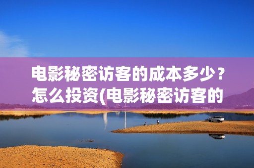 电影秘密访客的成本多少？怎么投资(电影秘密访客的剧情)