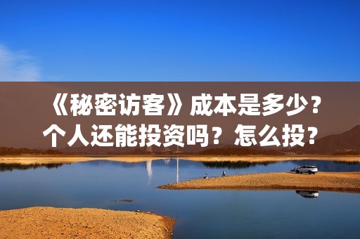 《秘密访客》成本是多少？个人还能投资吗？怎么投？(秘密访客到底演了什么)