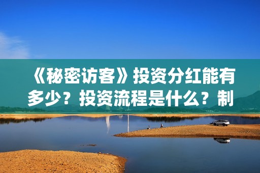 《秘密访客》投资分红能有多少？投资流程是什么？制作成本是多少？(《秘密访客》投资多少钱)