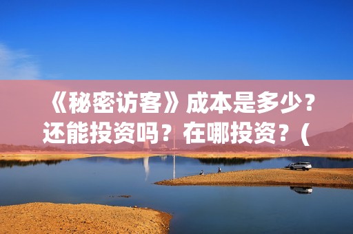 《秘密访客》成本是多少？还能投资吗？在哪投资？(秘密访客完整剧情)