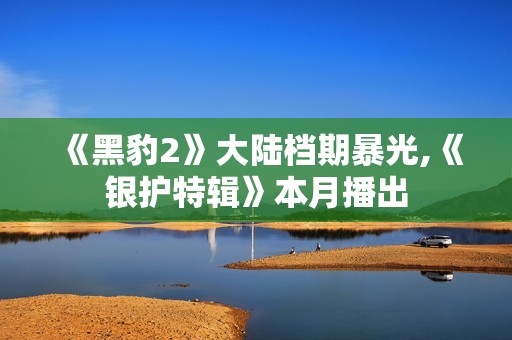 《黑豹2》大陆档期暴光,《银护特辑》本月播出