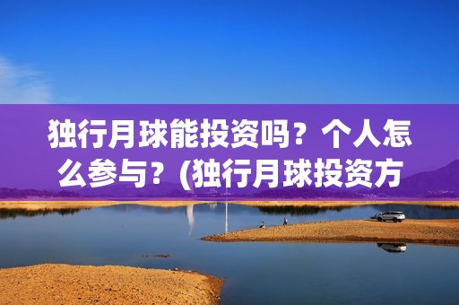 独行月球能投资吗？个人怎么参与？(独行月球投资方)