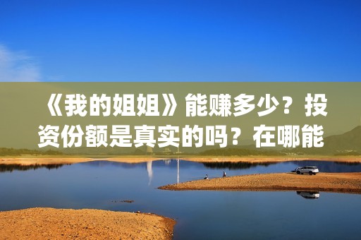 《我的姐姐》能赚多少？投资份额是真实的吗？在哪能投？(《我的姐姐》怎么样)