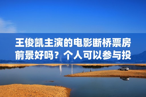 王俊凯主演的电影断桥票房前景好吗？个人可以参与投资认购吗？(王俊凯主演电影累计票房破20亿)