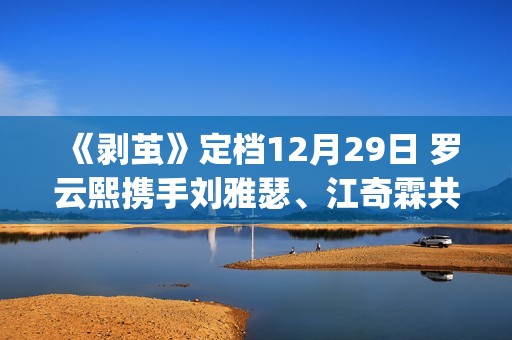 《剥茧》定档12月29日 罗云熙携手刘雅瑟、江奇霖共破六大奇案(剥离之茧是哪个电视剧)