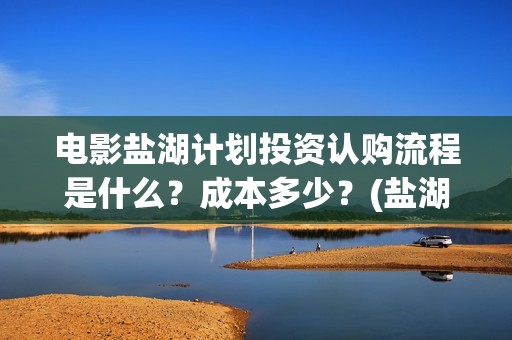电影盐湖计划投资认购流程是什么？成本多少？(盐湖计划电影演员)