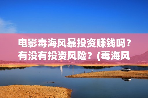 电影毒海风暴投资赚钱吗？有没有投资风险？(毒海风暴 电影)