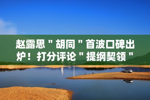 赵露思＂胡同＂首波口碑出炉！打分评论＂提纲契领＂