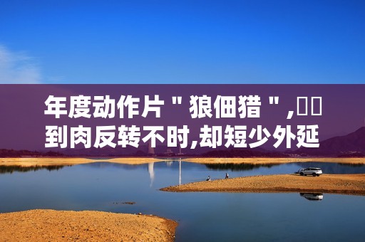 年度动作片＂狼佃猎＂,惓惓到肉反转不时,却短少外延