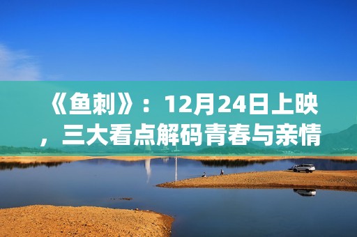 《鱼刺》：12月24日上映，三大看点解码青春与亲情的羁绊(帮我找一下鱼刺)