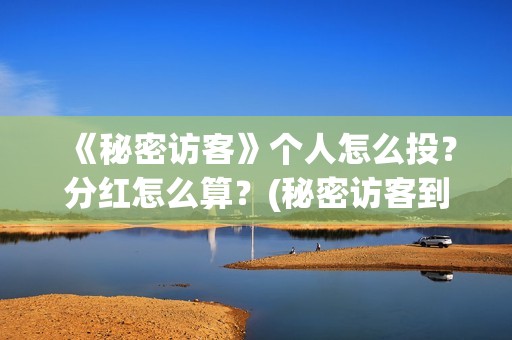 《秘密访客》个人怎么投？分红怎么算？(秘密访客到底演了个啥)