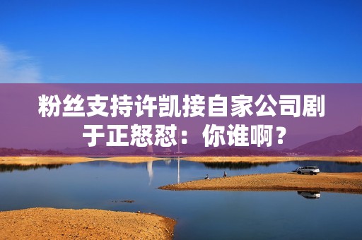 粉丝支持许凯接自家公司剧 于正怒怼：你谁啊？