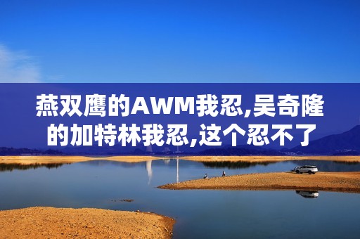 燕双鹰的AWM我忍,吴奇隆的加特林我忍,这个忍不了