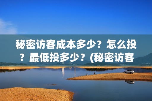 秘密访客成本多少？怎么投？最低投多少？(秘密访客有多久)