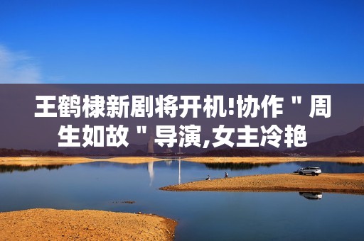 王鹤棣新剧将开机!协作＂周生如故＂导演,女主冷艳