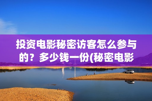 投资电影秘密访客怎么参与的？多少钱一份(秘密电影原著)