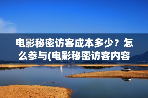 电影秘密访客成本多少？怎么参与(电影秘密访客内容)